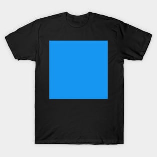 Summer Sky Blue T-Shirt